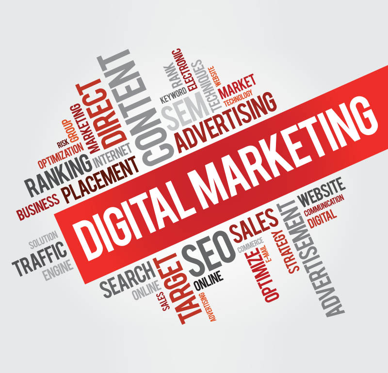 Digital Marketing Leads